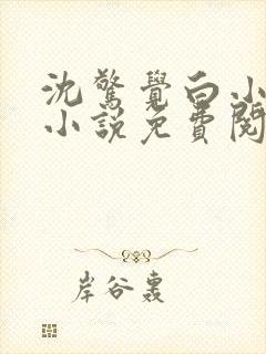沈惊觉白小小的小说免费阅读
