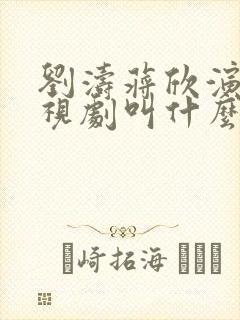 刘涛蒋欣演的电视剧叫什么名字