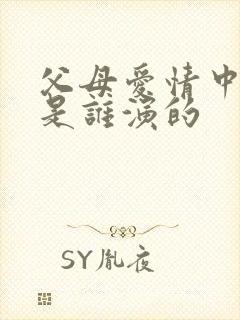 父母爱情中安欣是谁演的