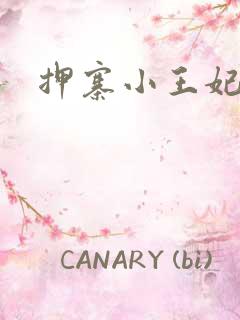 押寨小王妃