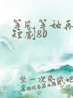 等风等她再回头短剧80