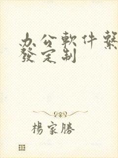 办公软件系统开发定制