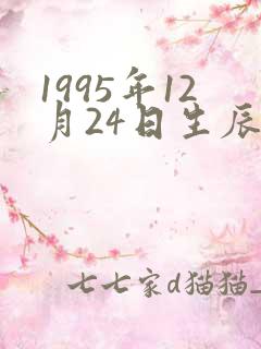 1995年12月24日生辰八字
