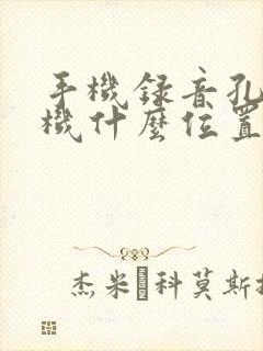 手机录音孔在手机什么位置