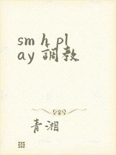 sm h play 调教