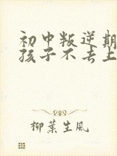 初中叛逆期的男孩子不去上学怎么去引导
