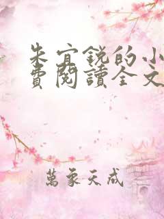 朱宜锐的小说免费阅读全文