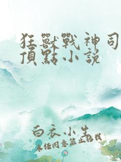狂兽战神司空靖顶点小说