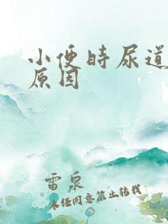 小便时尿道刺痛原因