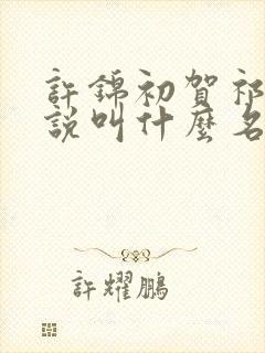 许锦初贺祁川小说叫什么名字