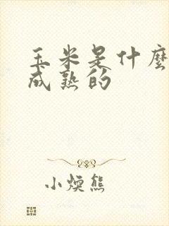 玉米是什么时候成熟的