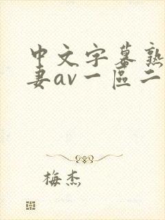 中文字幕熟女人妻av一区二区三区
