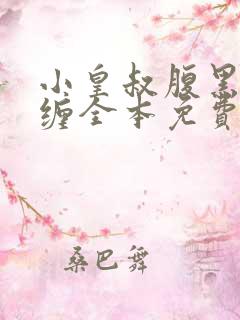 小皇叔腹黑又难缠全本免费