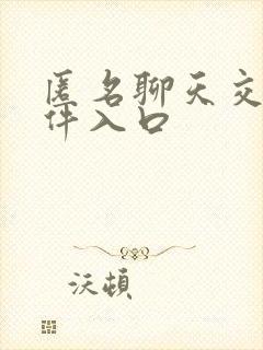 匿名聊天交友软件入口