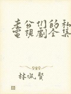 老公们的私房钱电视剧全集免费