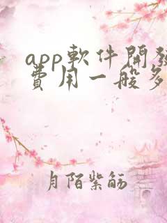 app软件开发费用一般多少钱
