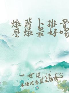炖萝卜排骨汤怎么炖最好喝