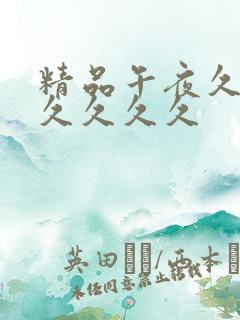 精品午夜久久久久久久久