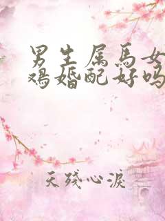 男生属马女生属鸡婚配好吗