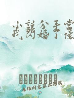 小说分手当天,我闪婚了亿万富豪
