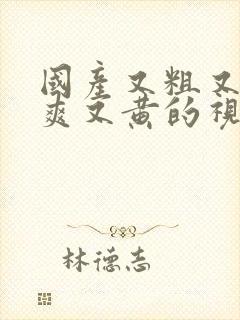 国产又粗又猛又爽又黄的视频先