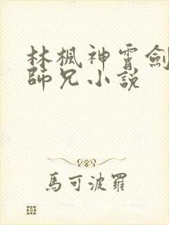 林枫神霄剑宗大师兄小说