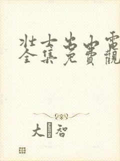 壮士出山电视剧全集免费观看高清版