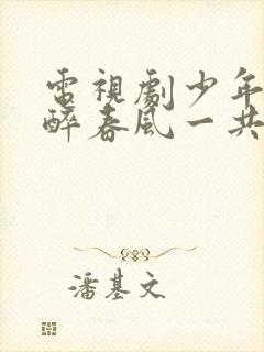 电视剧少年白马醉春风一共多少集