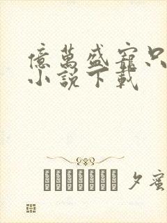 亿万盛宠只为你小说下载