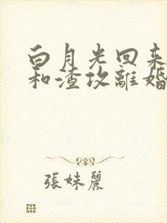 白月光回来后我和渣攻离婚了