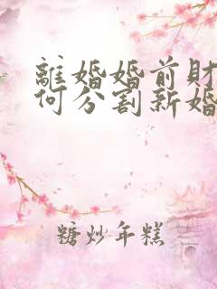 离婚婚前财产如何分割新婚姻法