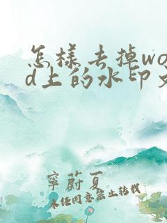 怎样去掉word上的水印文字