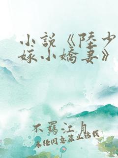 小说《陆少的替嫁小娇妻》