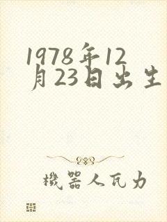 1978年12月23日出生八字