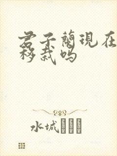 君子兰现在可以移栽吗