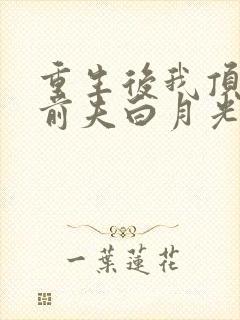 重生后我顶替了前夫白月光 九九月