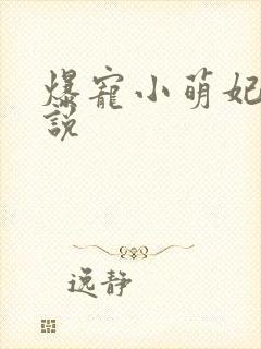 爆宠小萌妃 小说