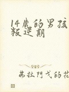 14岁的男孩子叛逆期