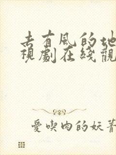 去有风的地方电视剧在线观看免费高清版
