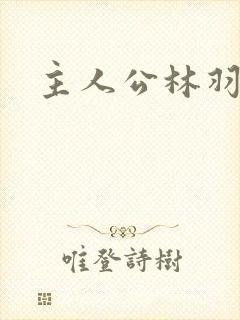 主人公林羽小说