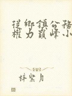 从乡镇公务员到权力巅峰小说全部章节