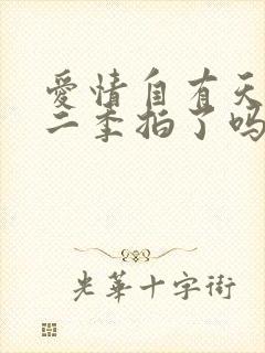 爱情自有天意第二季拍了吗