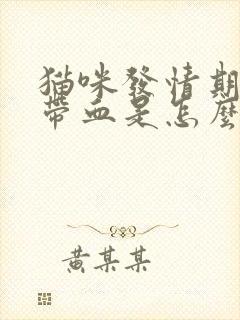猫咪发情期尿里带血是怎么回事