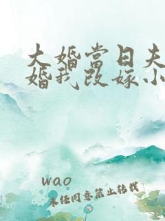大婚当日夫君逃婚我改嫁小说
