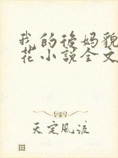 我的后妈貌美如花小说全文阅读