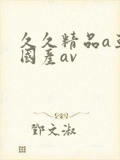 久久精品a亚洲国产av