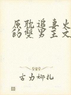 原耽追妻火葬场的双男主文推荐