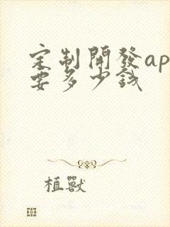 定制开发app要多少钱