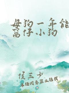 母狗一年能产几窝仔小狗