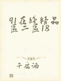 91在线精品一区二区18
